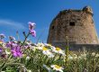 Torre Mozza ProLoco Beach