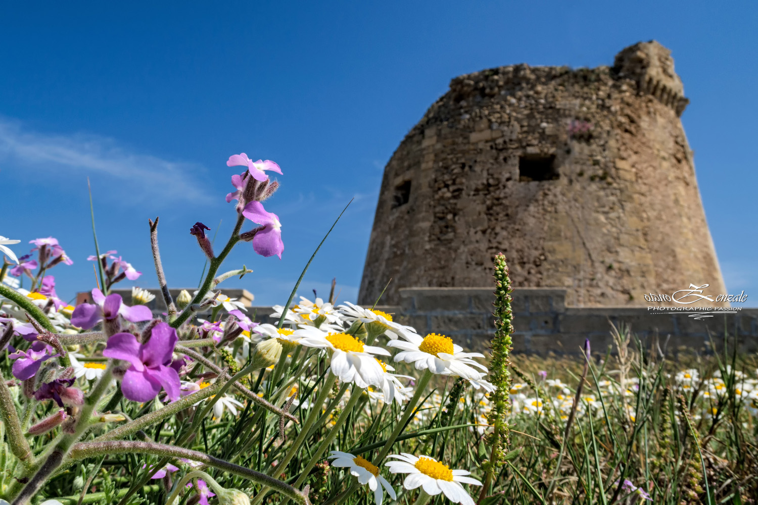Torre Mozza ProLoco Beach Torre Mozza ProLoco Beach